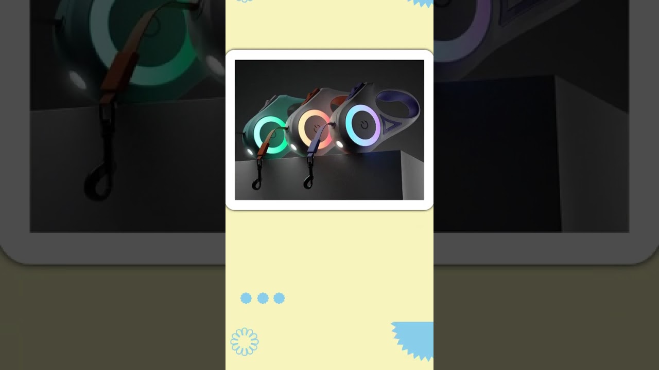 Retractable Dog Leash