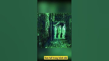 P33: thư viện vũ trụ Akashic