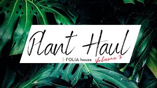 PLANT HAUL Folia House AGAIN but with a twist