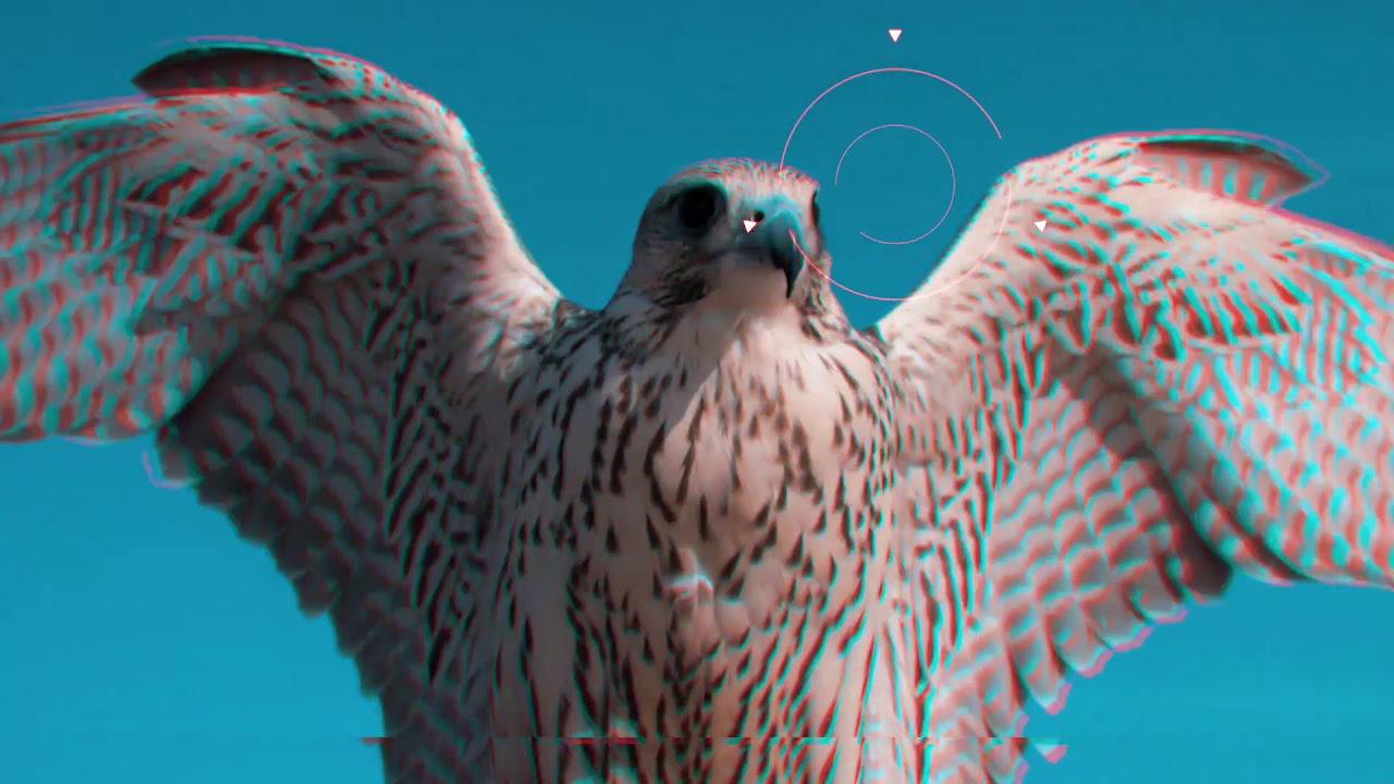 Meet Falah - UAE Innovation Month