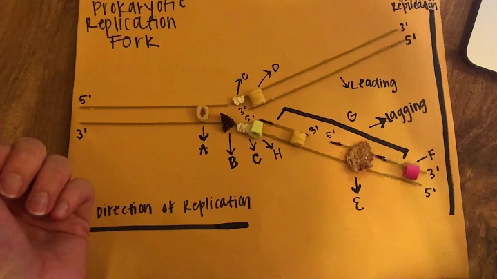 Logan Thompson: Exam 3, Part 1 Mini Video- D