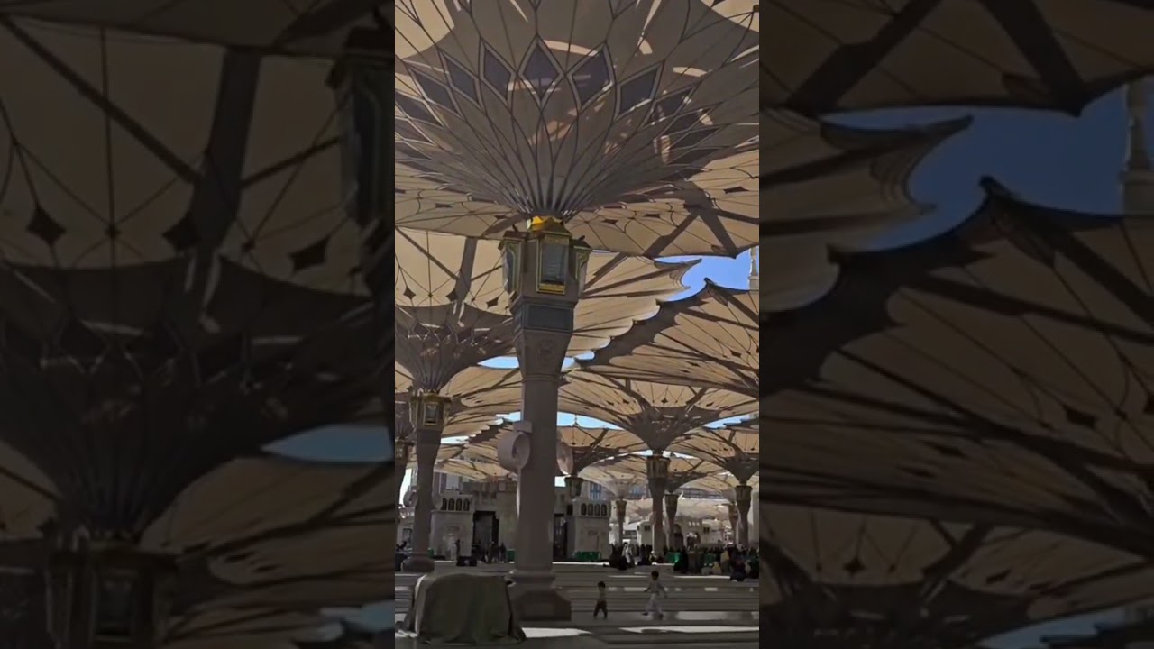 Beautiful Moments in Medina 