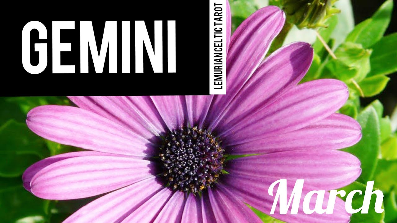 GEMINI | EMOTIONAL STRENGTH & STABILITY WITH OPEN-MINDED APPROACH