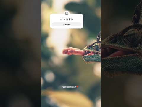what is the name of the Animal😱#wowshort #youtubeshorts