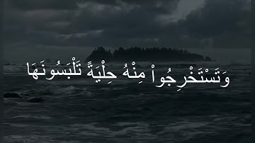 (وَهُوَ ٱلَّذِى سَخَّرَ ٱلْبَحْرَ لِتَأْكُلُواْ مِنْهُ لَحْمًا طَرِيًّا) سوره النحل | ياسر الدوسري