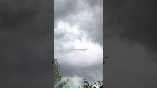 You think you’re okay… until it gets quiet 🤍