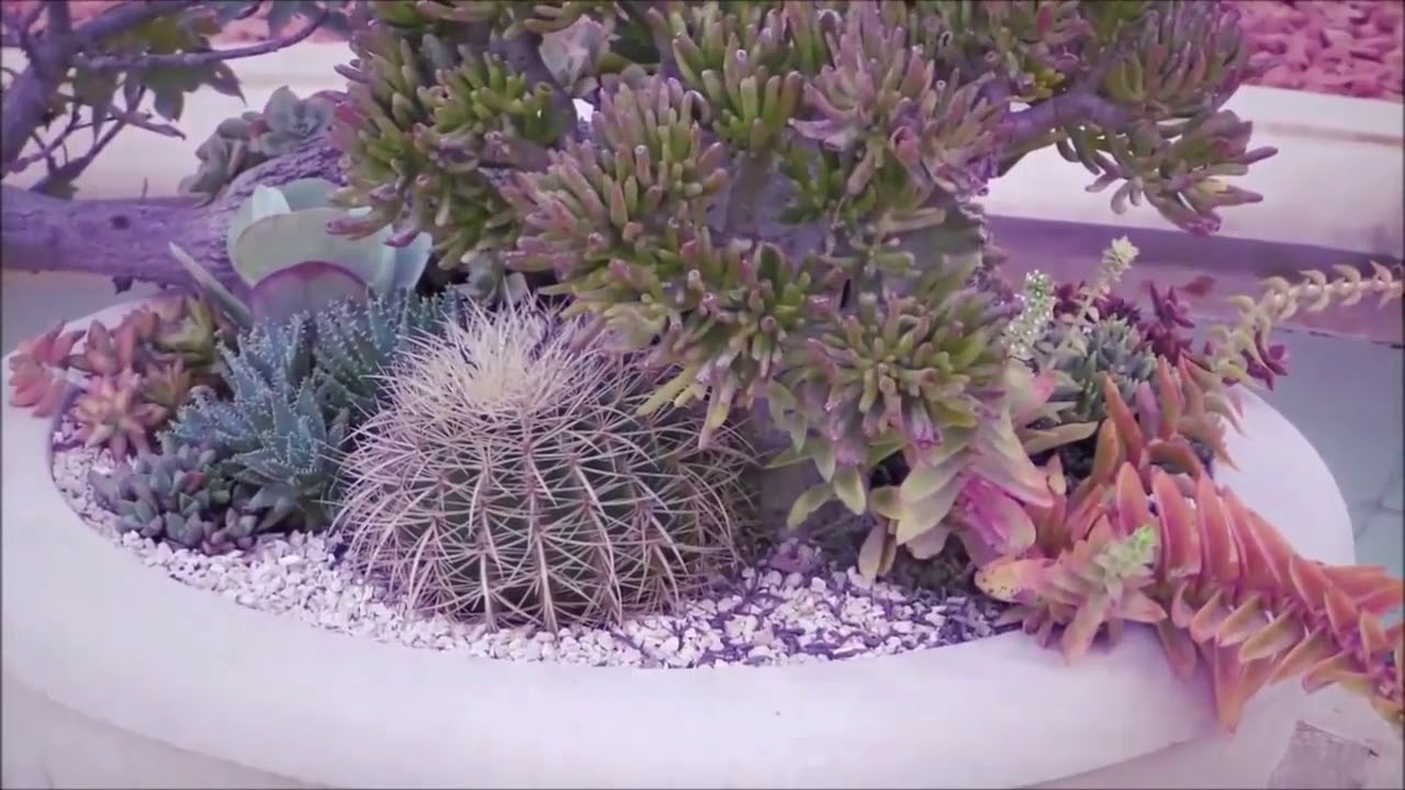 ای مولای توانا از عالم بالا