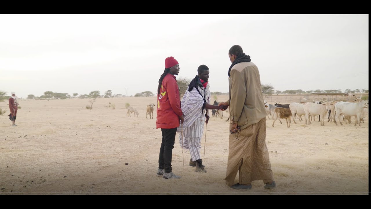 En immersion: Daara J à la découverte de la collecte de lait EPISODE 1