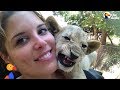 Woman Horrified to Find She Was Raising Lions To Be Killed at 'Sanctuary' | The Dodo