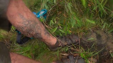 Trois Pitons momentary view