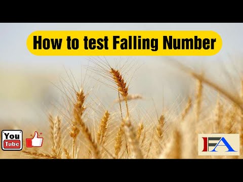 1 How to test Falling Number ?