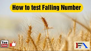 1  How to test Falling Number 