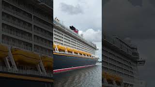 Disney Dream In Kiel 339,5 Meter Kreuzfahrtschiff Im Kieler Hafen