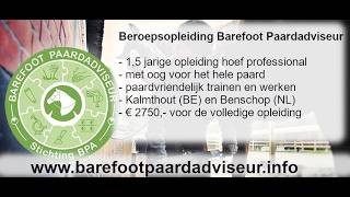 Barefoot Paardadviseur opleiding Inge Teblick begin en waarom Barefoot Paardadviseur opleiding Inge Teblick begin en waarom