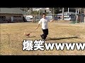 【愛犬】芝生での散歩が面白すぎたwwww