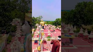 अयोध्या का प्रसिद्ध तीर्थ स्थल संतभीखादास #ayodhya #shorts #viral #trending #bhakti #status #reels