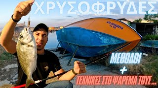 ✅Εντόπισα τις Χρυσοφρύδες |🔑Μέθοδοι & Τεχνικές στο ψάρεμα τους...(S3E7)
