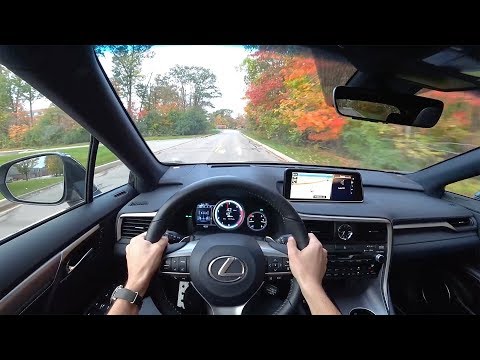2017 Lexus RX 350 F Sport AWD  - POV Test Drive (Binaural Audio)