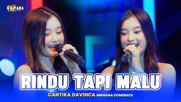 RINDU TAPI MALU - Cantika Davinca - OM NIRWANA COMEBACK Juwana PATI (Official Performance Video)