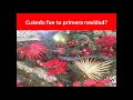 ¿Cuándo fue tu primera navidad? La navidad desde el punto de vista bíblico.