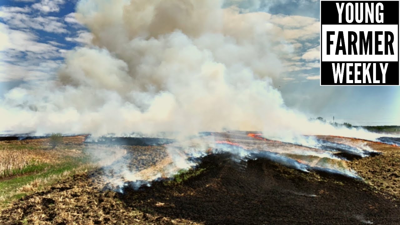 New Rented Land Needs Some Work