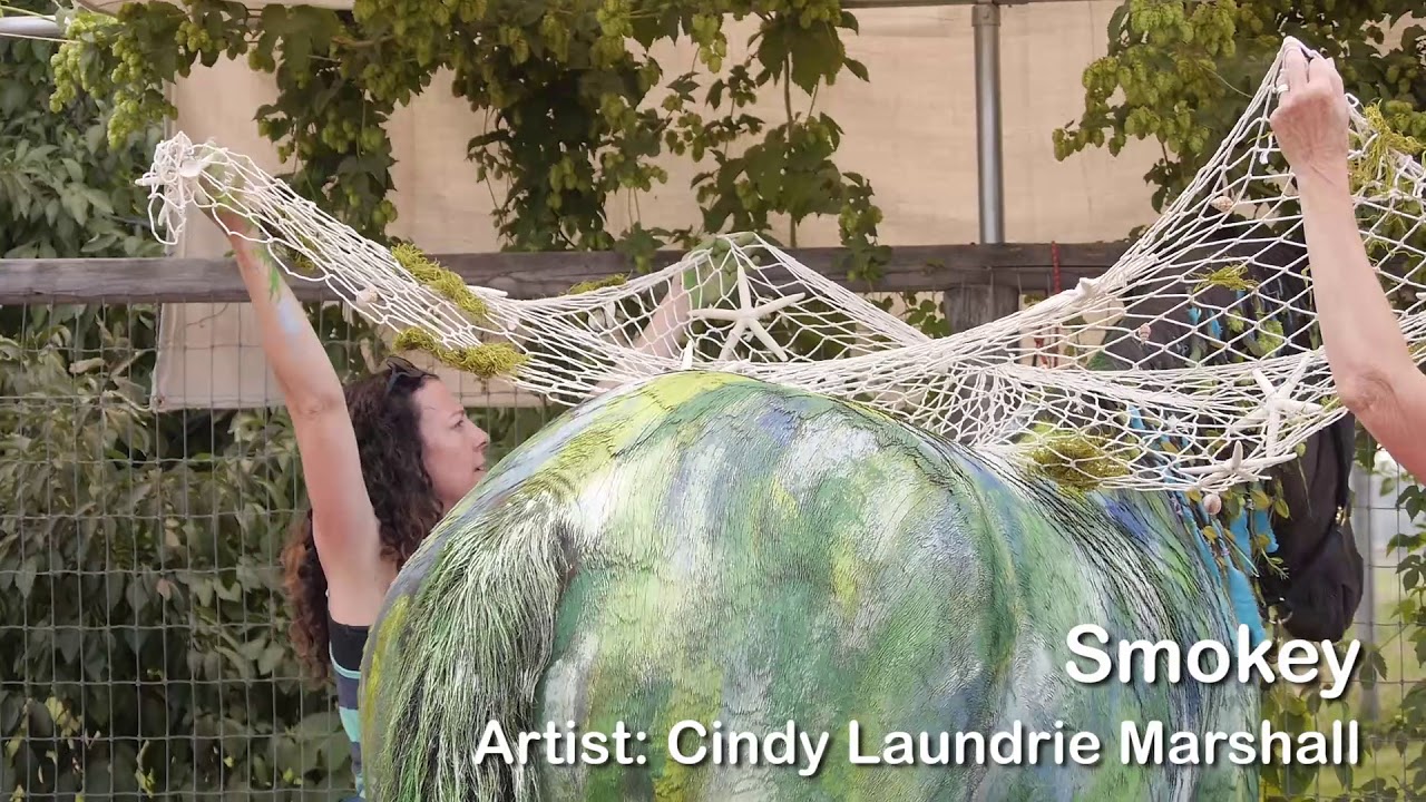 Painting on Horses at Dunrovin Ranch