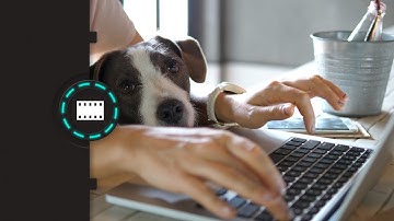 Stay Safe While Working From Home Demo