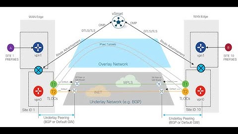 Cisco SDWAN: Mastering Cisco SD-WAN Overlay Management Protocol || OMP Explained || Viptela SDWAN