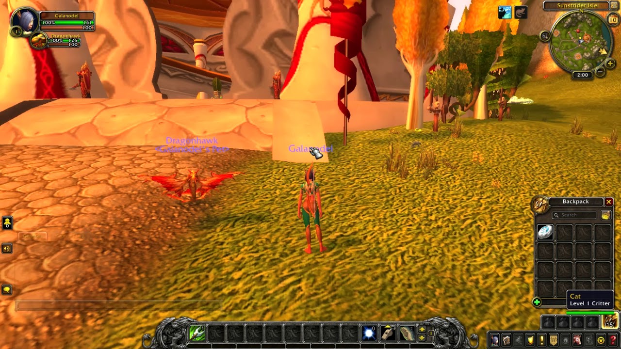 WoW - 41 - Galanodel 1 - Blood Elf Hunter