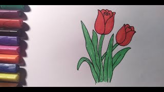 HOW TO DRAW TULIP
