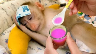 Poor Monkey Puka has a high fever  Mom takes good care of him and helps him get well quickly