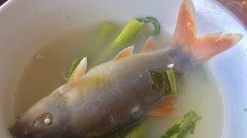 Cá heo sông - món ngon Việt Nam từ đặc sản miền Tây mùa nước nổi