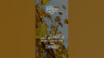 آية الكرسي ♥️♥️♥️ #سورة_البقرة #قران_كريم #quran