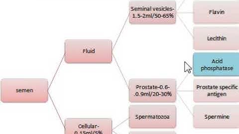 Semen Analysis (Part 1)#Flavin #SeminalAcidPhosphatase #SAP #FlourmetricAssay #ForensicSerology