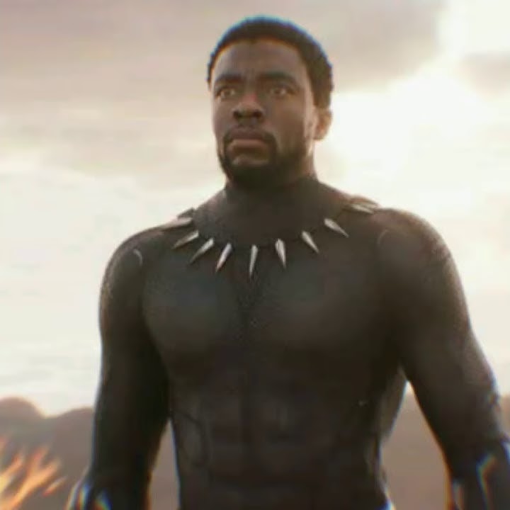 Story wa || mengenang pemeran black panther