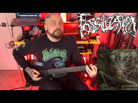 Fossilization - Cremation of a Seraph - Guitar Cover