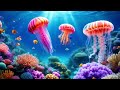 EN EL FONDO DEL MAL - ÓNENÁII - 4K VIDEO DE IA