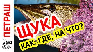 ЩУКА НА СИРЕНЬ!!! Рыбалка на щуку в щучьих местах!!!