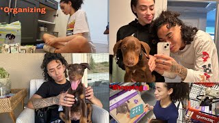 Day In The Life As New Puppy Parents Puppy shopping + Haul + Trick show?️ ?