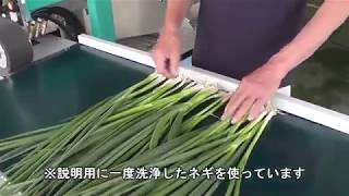 Green Onion Spring Onion Peeling and Washing Machine Made in Japan