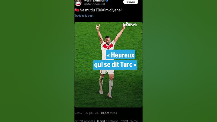 Que signifie le « salut du loup » du Turc Merih Demiral à l’Euro ?