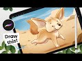 How To Draw A Cute Fennec, from sketching to shading • Procreate Tutorial