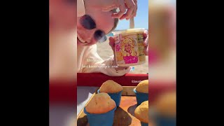 Brie larson puts buttercream frosting on the cupcakes #96 Net Worth