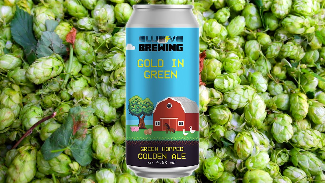 Brewing a Green Hop beer with Elusive Brew The Craft Beer Channel Brew Insight