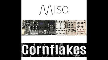 TEST SERIES Miso Modular Cornflakes Granular Stereo Sampler And Harmonizer Eurorack Sound Design