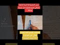 أبسط طريقة لشرح درس الحصيلة 3 السنة الرابعة إبتدائي شرح مفصل الحل 