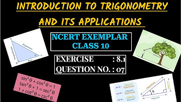 EXERCISE 8.1 QUESTION 07 || NCERT EXEMPLAR CLASS 10 MATHEMATICS