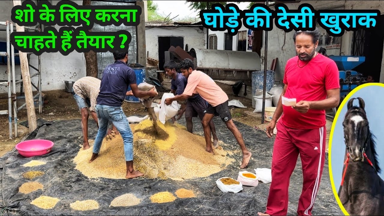 HOME MADE HORSE FEED