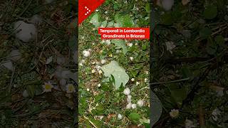 Primi temporali sulla Lombardia, grandine di grossa dimensione in Brianza