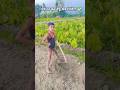 Little Farmer 🌾🌿 #farmlife #villagelife #viralshorts